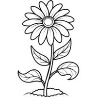margherita fiore pianta schema illustrazione colorazione libro pagina disegno, margherita fiore pianta nero e bianca linea arte disegno colorazione libro pagine per bambini e adulti vettore