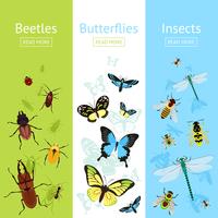 Set di banner di insetti vettore