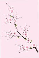 generato ai sakura fiore illustrazione vettore