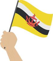 mano Tenere e raccolta il nazionale bandiera di brunei vettore