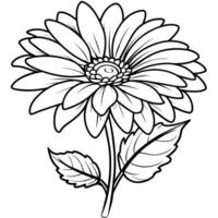 gerbera fiore pianta schema illustrazione colorazione libro pagina disegno, gerbera fiore pianta nero e bianca linea arte disegno colorazione libro pagine per bambini e adulti vettore