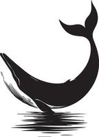 balena silhouette isolato su bianca sfondo vettore