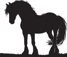 cavallo silhouette animale impostato isolato su bianca sfondo. nero cavalli grafico elemento illustrazione.alta risoluzione jpg, eps 10 incluso vettore