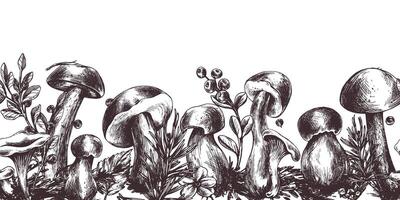 commestibile foresta funghi, porcini, finferli con mirtilli e mirtilli rossi, foglie, abete e coni. grafico illustrazione, mano disegnato con Marrone inchiostro, linea arte. senza soluzione di continuità confine, modello vettore