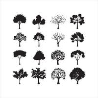 albero e foresta sagome silhouette albero linea disegno impostato Noce di cocco albero silhouette illustrazioni vettore