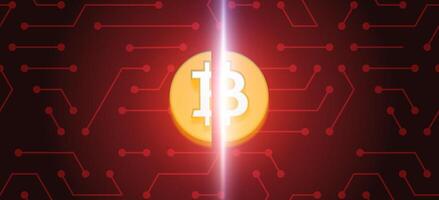 bitcoin dimezzamento. moneta su rosso sfondo con circuiti vettore