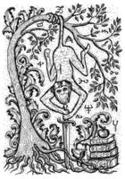 scimmia simbolo con spada, libri, barocco decorato albero e mistico segni vettore