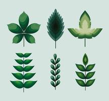 set di icone di foglie con colore verde vettore