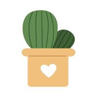 cactus. cactus nel un' carino pentola. illustrazione con bianca isolato sfondo. vettore