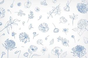 bellissimo orizzontale fondale con sparpagliato fioritura giardino fiori, foglie, mini cuffie, infiorescenze mano disegnato con blu contorno Linee su bianca sfondo. elegante botanico illustrazione. vettore