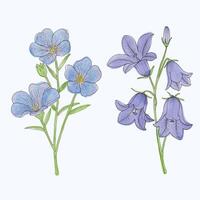 disegnato a mano fioritura fiore - primavera fiore illustrazione vettore