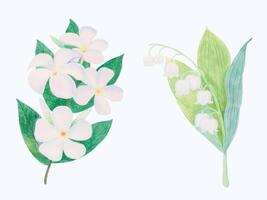 disegnato a mano fioritura fiore - primavera fiore illustrazione vettore