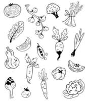 set di linee di doodle di elementi vegetali. cipolla, pomodori, carciofi, ravanelli, piselli, cavolfiori e zucca. agricoltura, alimentazione naturale, allevamento. schizzo di stile dell'inchiostro di contorno. illustrazione del fumetto di vettore. vettore