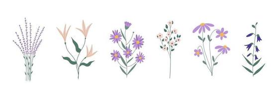 set botanico di piante floreali da giardino. illustrazione vettoriale piatto colorato.