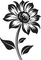 semplice petalo simbolo monocromatico icona delineato fiorire nero simbolo vettore