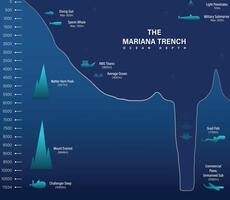 mariana trincea mare illustrazione, infografica o analisi, profondità di oceano vettore