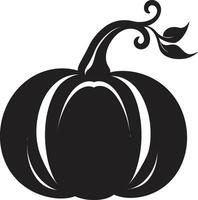 mezzanotte raccogliere nero di zucca nel sinistro silhouette elegante nero zucca vettore