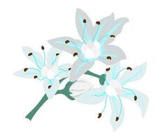 astratto bianca lilly fiori nel piatto design. fioritura nozze mazzo. illustrazione isolato. vettore