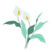 astratto calla giglio ramo nel piatto design. fioritura bianca fiori con le foglie. illustrazione isolato. vettore