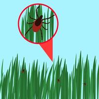 zecca nel il verde erba piatto illustrazione. Pericolo zecca insetto nel grass.healthcare illustrazione. vettore