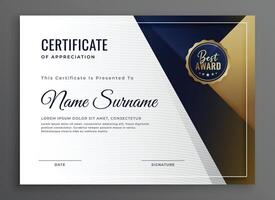 elegante diploma certificato di realizzazione modello design vettore