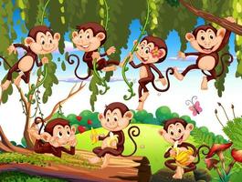 scena della foresta con divertenti cartoni animati di scimmie vettore