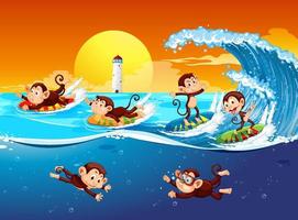 scena della spiaggia con scimmie che fanno surf vettore