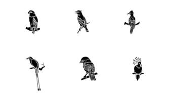 uccelli vettori icona impostato