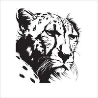 ghepardo - un' disgustato ghepardo illustrazione su un' bianca sfondo vettore