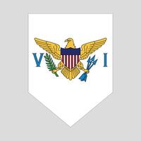 americano vergine isole bandiera nel scudo forma telaio vettore