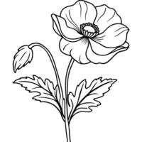 papavero fiore schema illustrazione colorazione libro pagina disegno, papavero fiore nero e bianca linea arte disegno colorazione libro pagine per bambini e adulti vettore