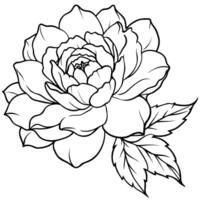 peonia fiore schema illustrazione colorazione libro pagina disegno, peonia fiore nero e bianca linea arte disegno colorazione libro pagine per bambini e adulti vettore