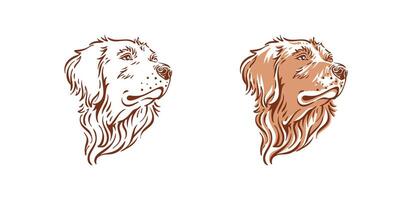 d'oro cane da riporto cane testa illustrazione lato Visualizza animale domestico disegno vettore