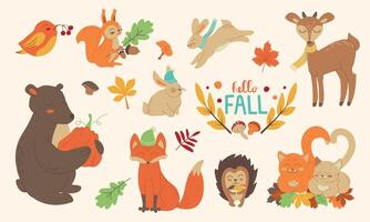 autunno impostare, foresta animali mano disegnato stile. funghi, foglie, scritte, cibo per raccogliere Festival o ringraziamento giorno. carino autunno caratteri - orso, Volpe, riccio, scoiattolo. illustrazione. vettore