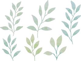 assortimento di acquerello le foglie illustrazione impostato - verde foglia rami collezione per nozze, saluti, stazionario, sfondi, moda, sfondo. oliva, verde foglie, eucalipto eccetera vettore
