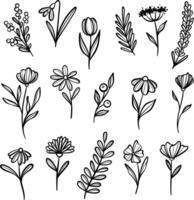 mano disegnato pianta scarabocchio impostare, isolato illustrazioni, botanico minimalista elementi vettore