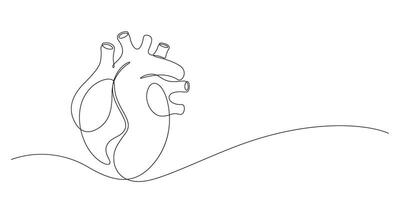 umano cuore interno organo nel continuo linea disegno vettore