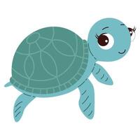 cartone animato mare tartaruga oceano animale esotico subacqueo carino creatura marino vita isolato sfondi vettore