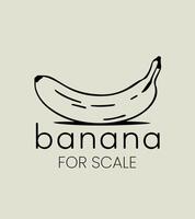 Banana per scala vettore