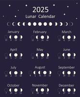 Luna calendario per 2025 anno. lunare calendario. illustrazione. vettore