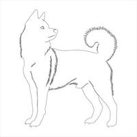 mano disegnato cane schema illustrazione vettore