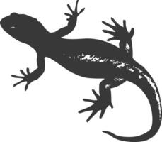 silhouette salamandra animale nero colore solo vettore