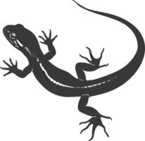 silhouette salamandra animale nero colore solo vettore