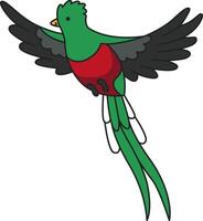 carino quetzal illustrazione vettore