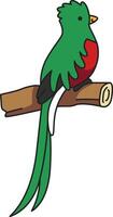 carino quetzal illustrazione vettore