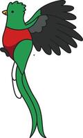 carino quetzal illustrazione vettore