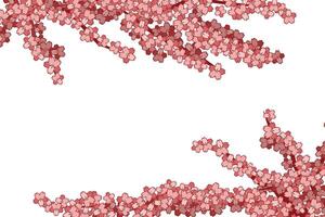 telaio fatto di sakura rami con un inserire per testo su un' bianca sfondo. fioritura ciliegia. giapponese botanica, pianta. turista attrazione. asiatico cultura. cartolina modello. colore illustrazione vettore