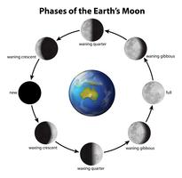 Fasi della luna vettore