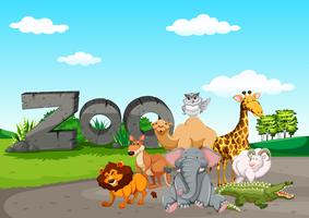 Animasl selvaggio allo zoo vettore