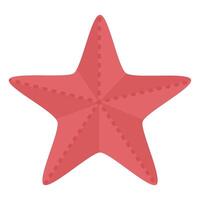 rosa stella marina illustrazione vettore